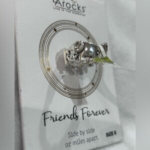 Rocks Silver Elephant Band